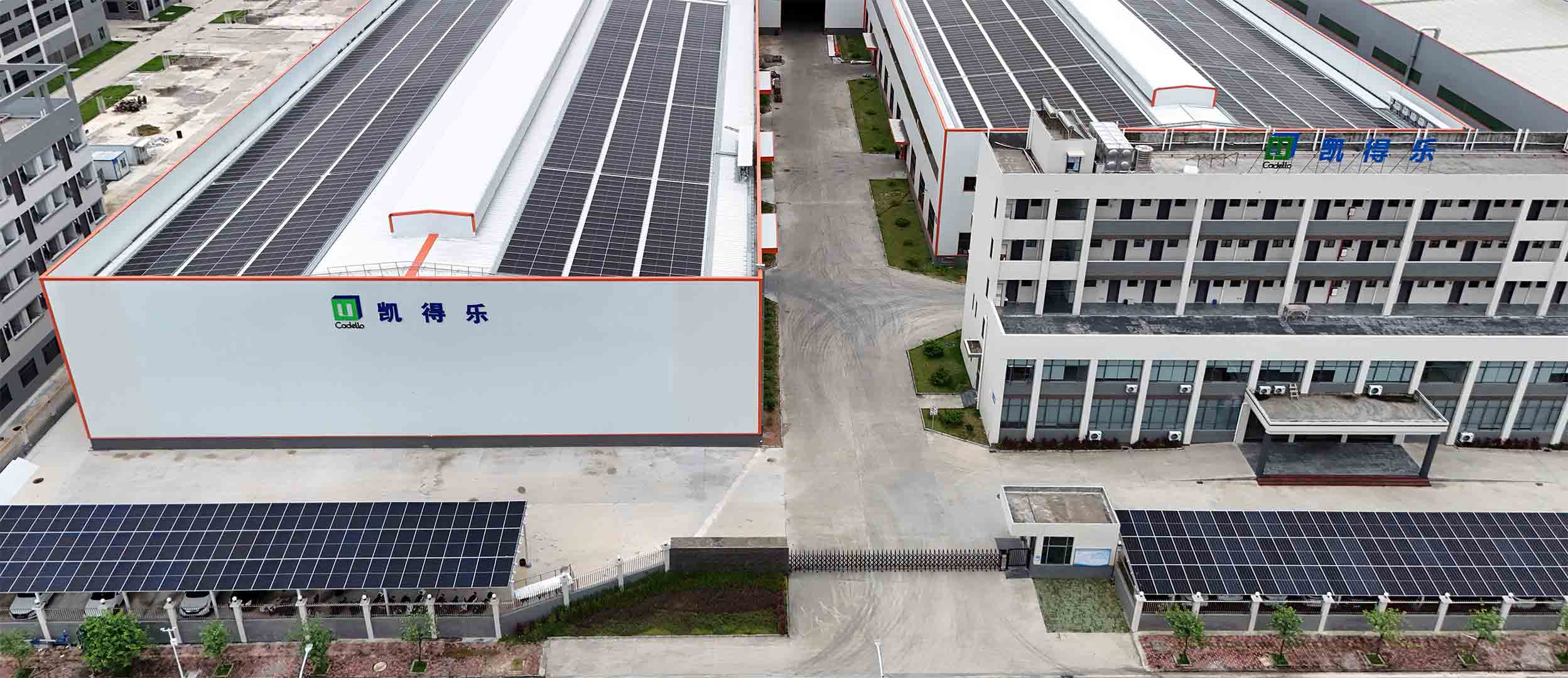 Dragon Color Company