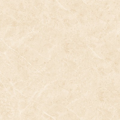 Inorganic Pigment Case